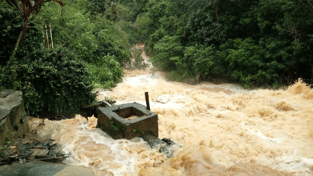 flood and heavy rainfall