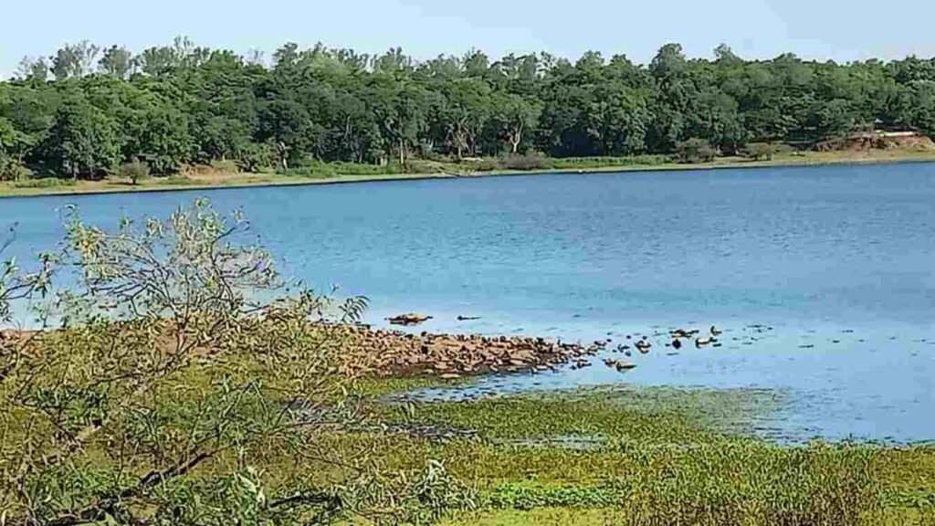 Yashavant Lake