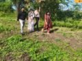 vanyavihir-drought-cotton-damage-survey