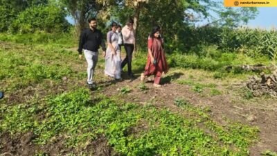 vanyavihir-drought-cotton-damage-survey