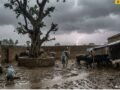 akkalkuwa-taluka-lightning-strike-kills-two-bulls-one-seriously-injured-farmer-suffers-loss