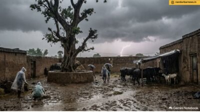 akkalkuwa-taluka-lightning-strike-kills-two-bulls-one-seriously-injured-farmer-suffers-loss
