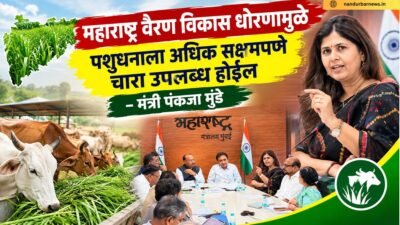 maharashtra-fodder-development-policy-to-ensure-better-feed-availability-for-livestock-pankaja-munde