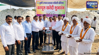 khetiya-market-record-cotton-rate-9090