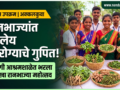 molgi-ashram-school-ranbhaji-mahotsav-tribal-food-culture-akkalkuwa