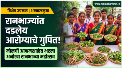 molgi-ashram-school-ranbhaji-mahotsav-tribal-food-culture-akkalkuwa