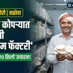 nandurbar-taloda-dilip-tadvi-home-mushroom-farming-success