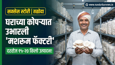 nandurbar-taloda-dilip-tadvi-home-mushroom-farming-success