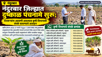 nandurbar-drought-panchnama-underway-farmers-contact-appeal