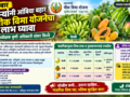 Farmers should avail benefit of Ambia Bahar fruit crop insurance scheme: District Superintendent Agriculture Officer Shankar Kirve.