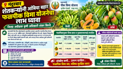 Farmers should avail benefit of Ambia Bahar fruit crop insurance scheme: District Superintendent Agriculture Officer Shankar Kirve.