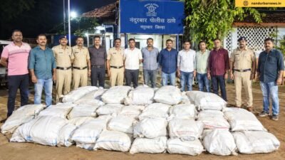 Nandurbar-Police-Cannabis-Farm-Destroyed