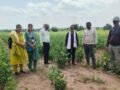 Nandurbar-Drought-Panchnama-Drive