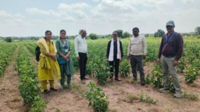 Nandurbar-Drought-Panchnama-Drive