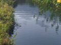 bijri-water-conservation-lakes-revival