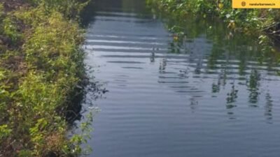 bijri-water-conservation-lakes-revival