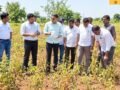 navapur-taluka-drought-kharif-crop-panchnama-starts