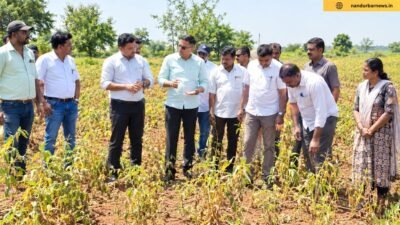 navapur-taluka-drought-kharif-crop-panchnama-starts