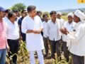 ncp-sharad-pawar-faction-mla-rohit-pawar-inspects-drought-conditions-in-bhaler-and-ranale-nandurbar