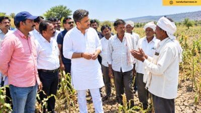 ncp-sharad-pawar-faction-mla-rohit-pawar-inspects-drought-conditions-in-bhaler-and-ranale-nandurbar