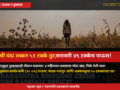 Nandurbar Faces Severe Drought Due to 51% Rainfall Deficit This Year