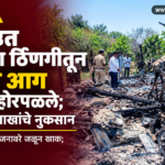 fire-jangthi-cattle-burnt-loss-5-lakhs