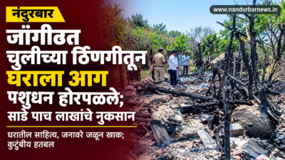 fire-jangthi-cattle-burnt-loss-5-lakhs